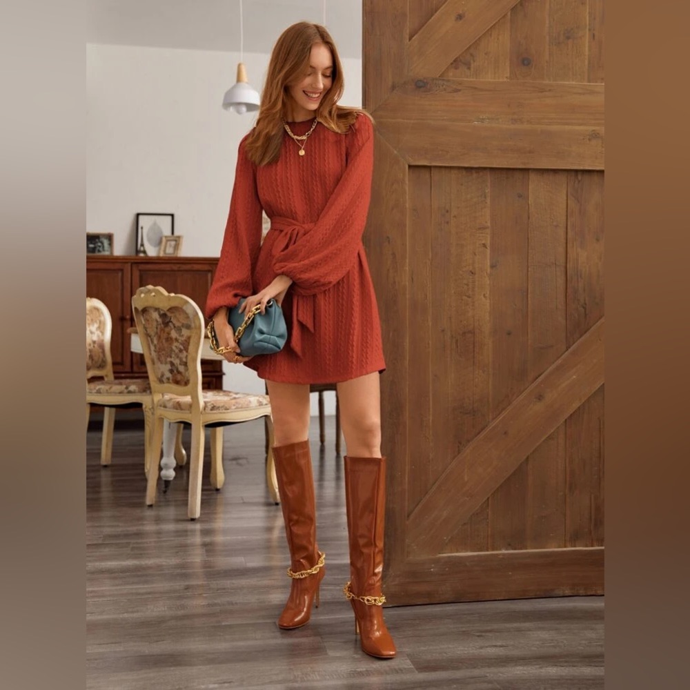 SHEIN Lantern Sleeve Belted Dress